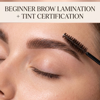 Beginner Brow Lamination + Tint Certification